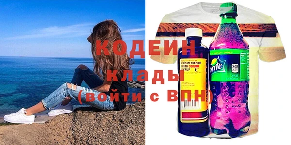 хмурый Дубна